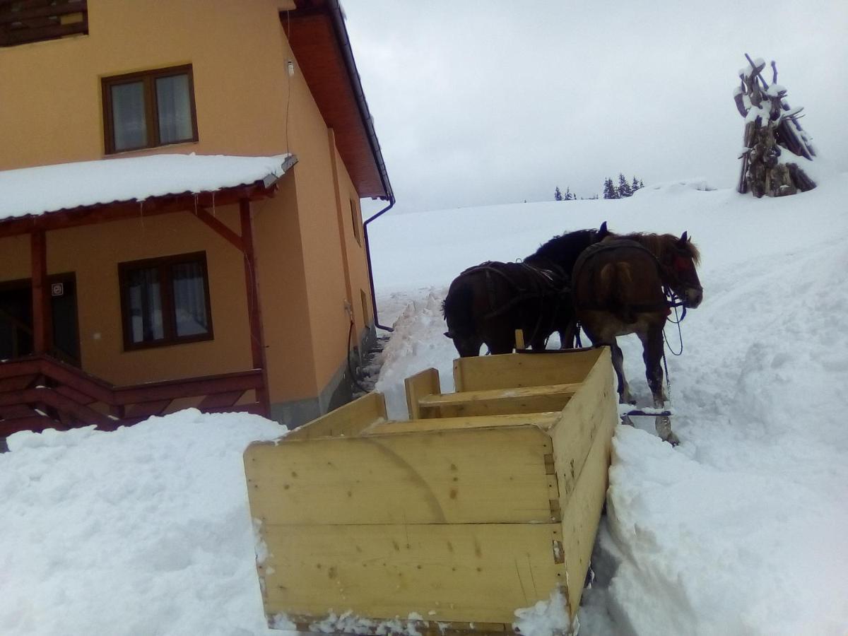 Cabana Gabriela Gîrda de Sus Екстериор снимка