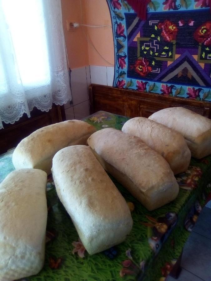 Cabana Gabriela Gîrda de Sus Екстериор снимка